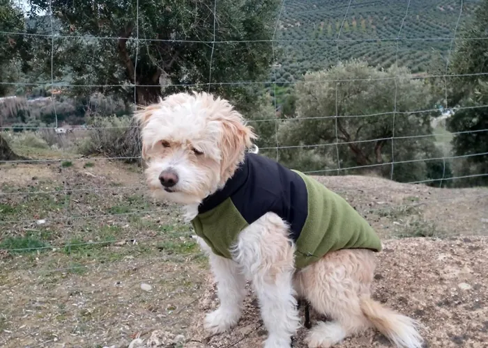 El Vergel
